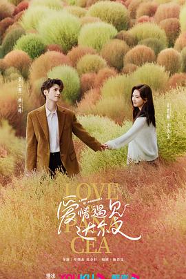 宁波seo优化企业