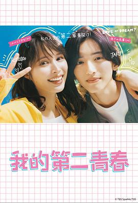 宁波seo优化企业