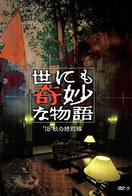 宁波seo优化企业