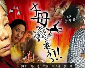 seo都用在哪些网站