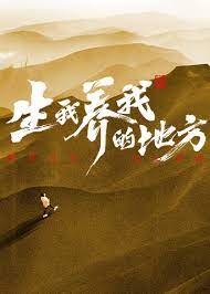 seo职位叫什么运营